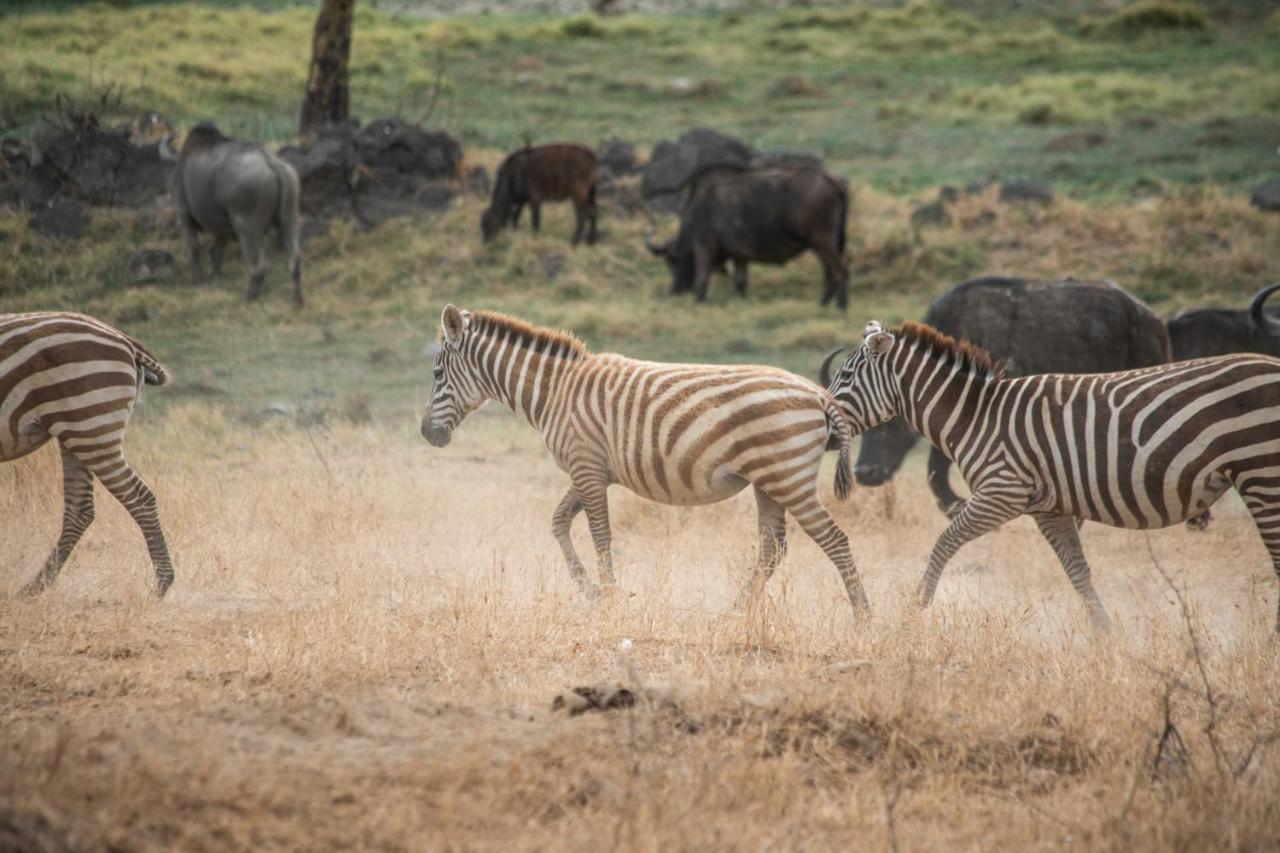 Sarova Lion Hill Game Lodge Nakuru Exterior photo