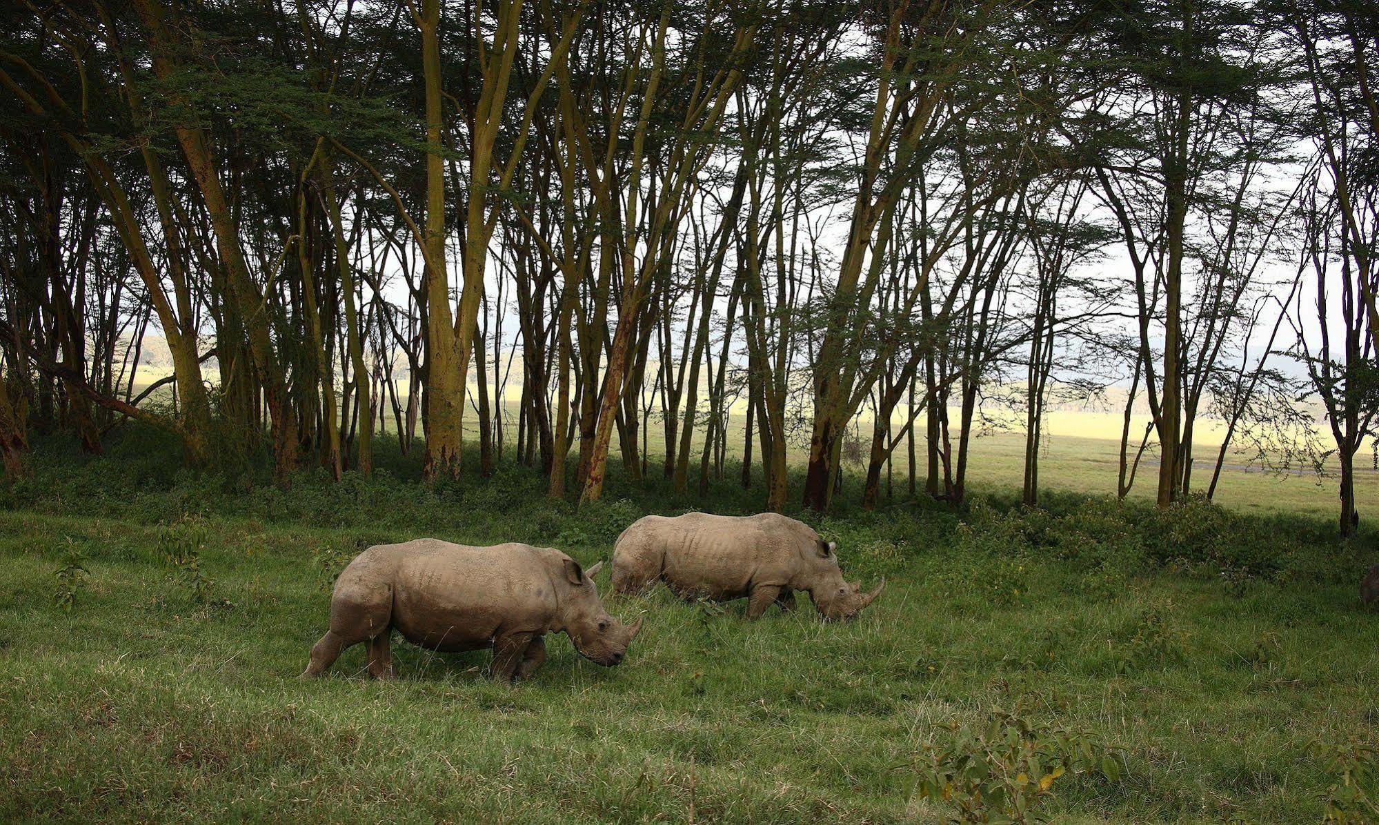 Sarova Lion Hill Game Lodge Nakuru Exterior photo